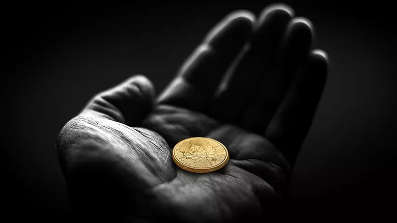 A hand cradling the Jack Pine gold coin